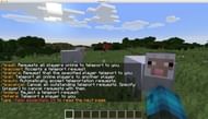 Image via Minecraft